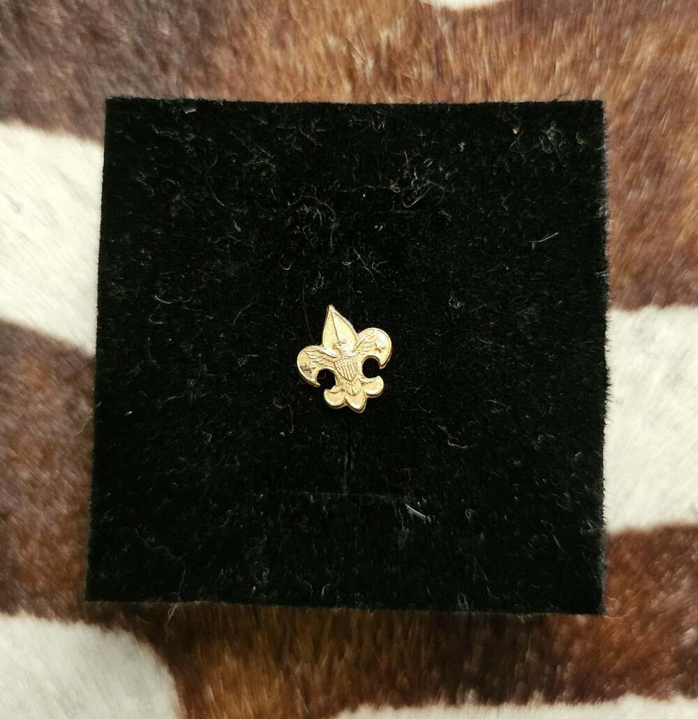 Vintage Boy Scouts of America BSA Fleur De Lis Eagle Gold Colored Lapel Pin